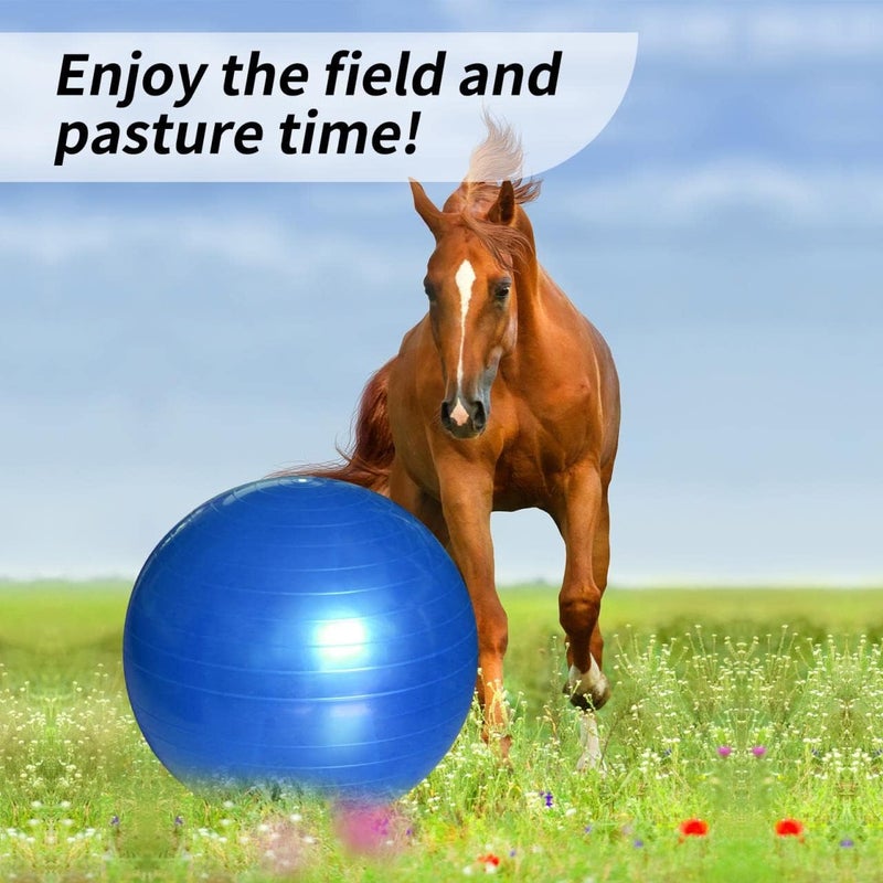 RideFound 17 Inch Horse Play Balls Anti-Burst Herding Ball for Horse Mega Equine Ball for Play Training Horses Soccer Balls - Image 2